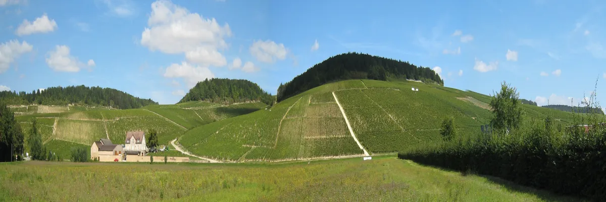 Image Fabricant abri de piscine Bourgogne-Franche-Comté