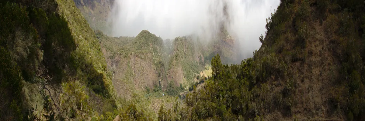 Image Fabricant abri de piscine La Réunion