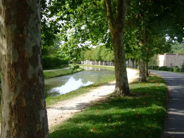 Abri Piscine Amovible Fabricant abri de piscine Saint-Amand-Montrond
