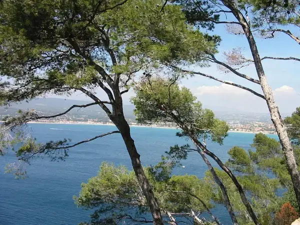 Abri Piscine Amovible Fabricant abri de piscine Saint-Cyr-sur-Mer